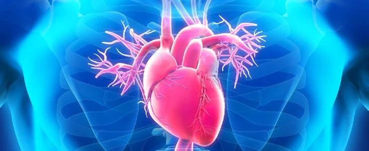 Canagliflozin Used For Cardiovascular protection