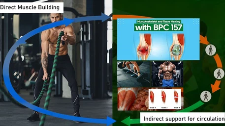BPC-157 Peptide c BPC-157 Peptide c