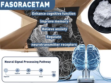Jista' Fasoracetam (NS-105) Jgħin fit-Trattament tal-ADHD? Tagħrif Ġdid dwar ...