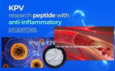X'inhuma Serine Proteases? Għaliex Huma Tant Importanti Għas-Saħħa tal-Bniedem