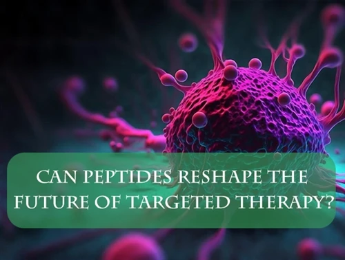 Il-Peptidi Jistgħu Jiffurmaw mill-ġdid Il-Futur Ta' Terapija Immirata