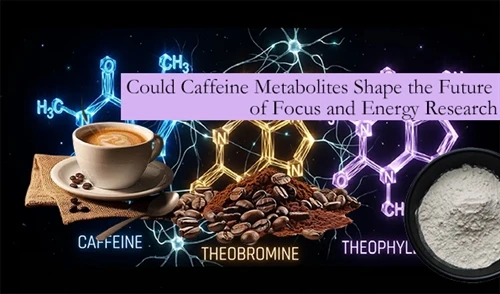 Jistgħu Metaboliti tal-Kaffeina Jiffurmaw Il-Futur Ta 'Focus U Riċerka dwar l...