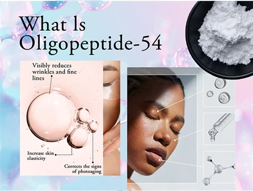 Kif il-Peptidi Bijomimetiċi Jimmiraw l-Apoptożi fir-Riċerka Kontra l-Aging